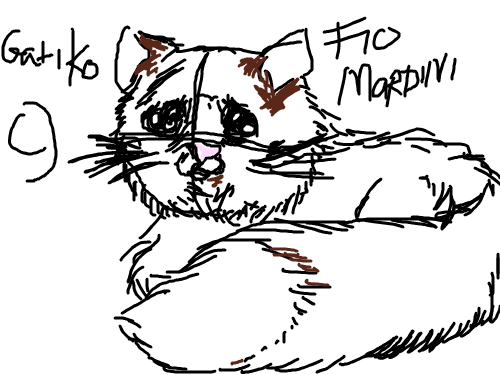 kathey : KAT GATIKOO 스케치판 ,sketchpan