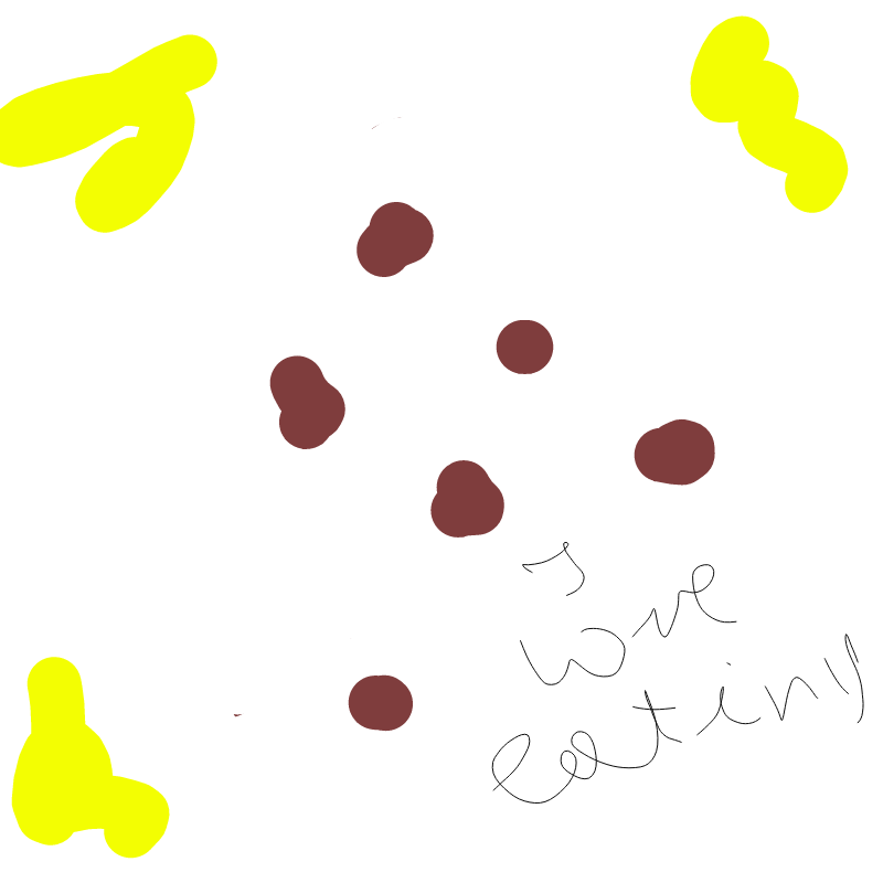 Ciacha : Ciacha 스케치판 ,sketchpan