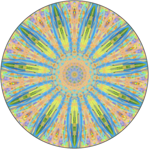 공작 : 공작깃털은화려해서좋드라요 스케치판 ,sketchpan