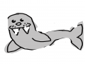 물개 : 물개 스케치판 ,sketchpan