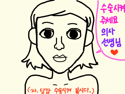 수술 : 눈.코.턱 스케치판 ,sketchpan