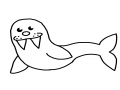 물개 : 물개 스케치판 ,sketchpan