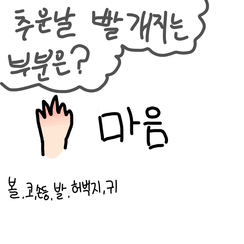 손 열전달.. : 손 열전달이 빨ㄹ라서 차갑다가도 따뜻한 거 만지면 금방 따뜻해져요
근데 완전 꽝꽝얼면 1~2시간 자야 따뜻해짐....암튼 몸이 차서 고통스러워ㅏ요ㅜㅜㅠㅠㅠㅠ 스케치판 ,sketchpan