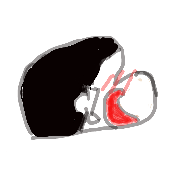 &nbsp; : &nbsp; 스케치판 ,sketchpan