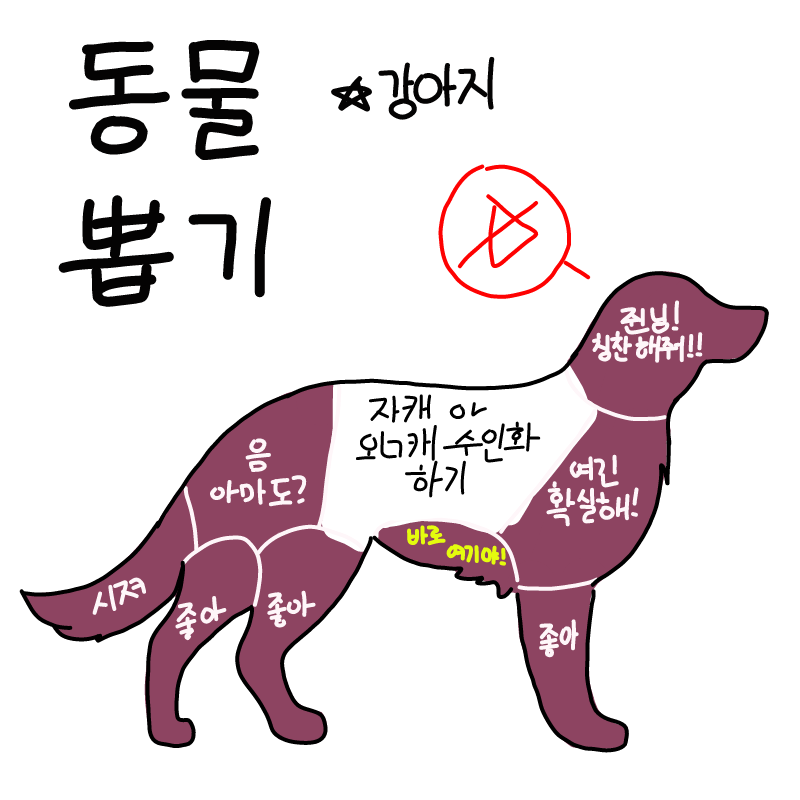 &nbsp; : &nbsp; 스케치판 ,sketchpan