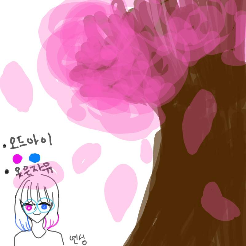 벛꽃 : 벛꽃 스케치판 ,sketchpan