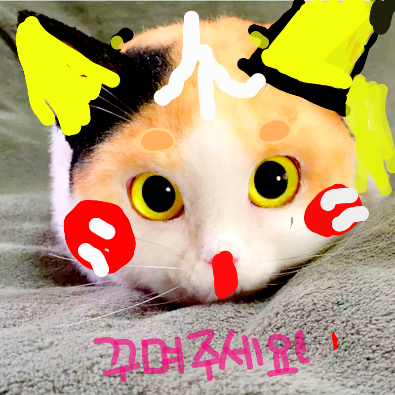 귀여운 매.. : 귀여운 매력을 지닌 것으로 보인다 스케치판 ,sketchpan