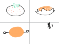   : - 스케치판 ,sketchpan