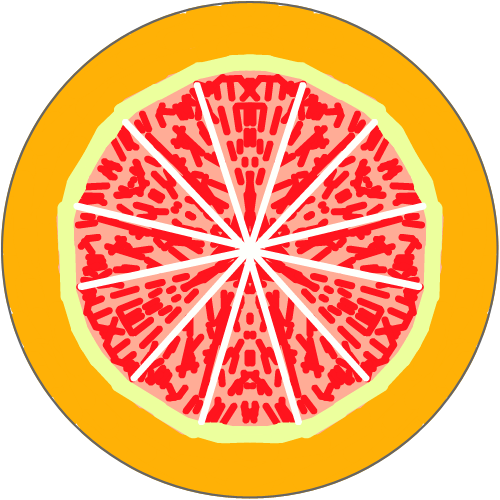 Grapefruit : &nbsp; 스케치판 ,sketchpan