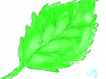 tftttttttttttttttttttttttttttttttttttttttttttttt : ttttttttttttttttttttttttttttttttttttttttttttttt 스케치판 ,sketchpan