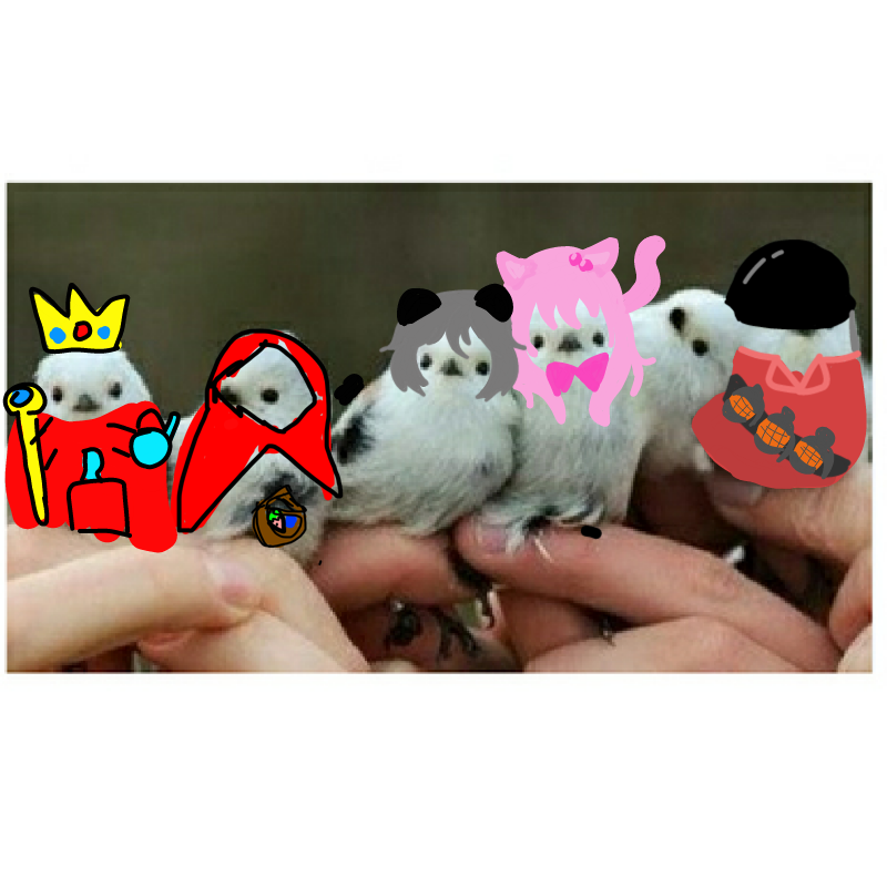 왕이 된 짹.. : 왕이 된 짹짹이 스케치판 ,sketchpan