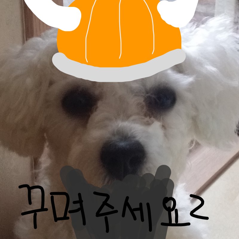 바이킹이 .. : 바이킹이 된 강아지 스케치판 ,sketchpan