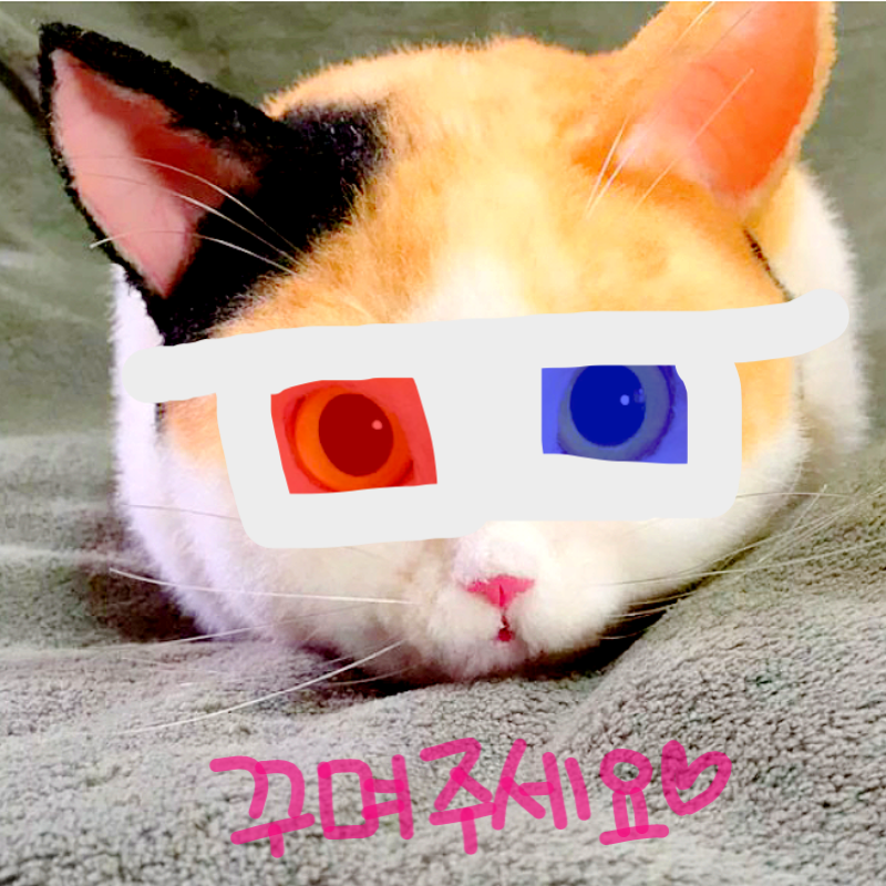 만약 고양.. : 만약 고양이에게 3D안경을 착용하면 어떤 반응을? 스케치판 ,sketchpan