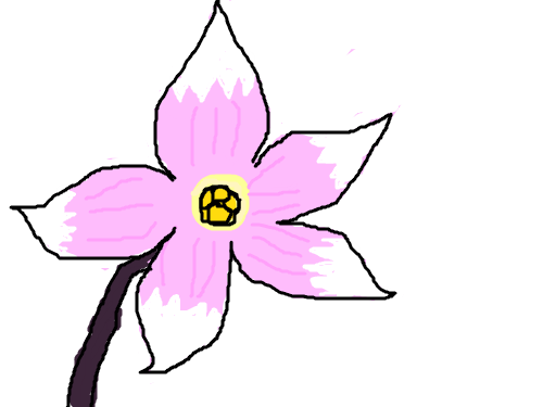 예쁜꽃 : 예쁜꽃이 서있습니다. 스케치판 ,sketchpan