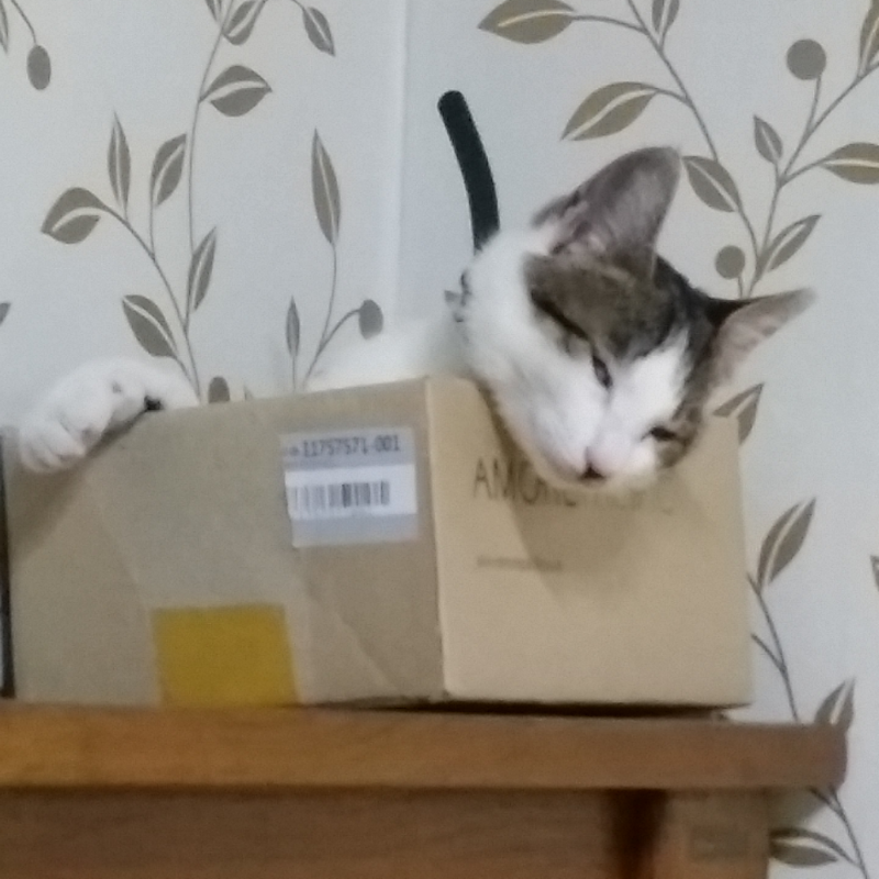 쭈이가 아.. : 쭈이가 아침를 입니다ㅎㅎ 스케치판 ,sketchpan