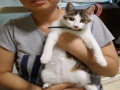쭈이가 2녀.. : 쭈이가 2녀를 입니다ㅎ 스케치판 ,sketchpan