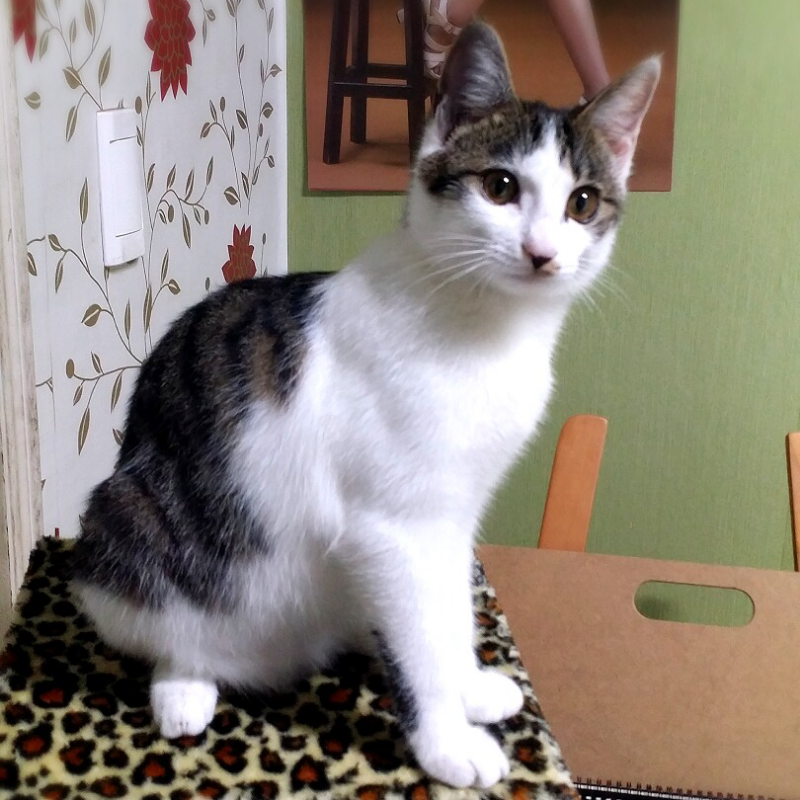 공주님 쭈.. : 공주님 쭈이 1년 스케치판 ,sketchpan