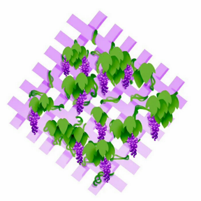 예술 포도 : 예술 포도 스케치판 ,sketchpan