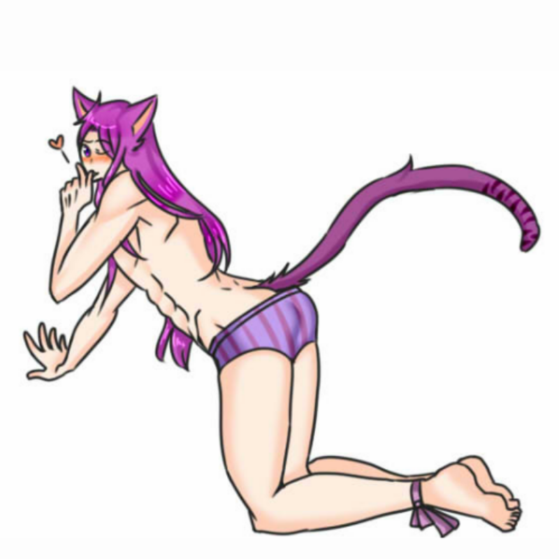 고양이 근.. : 고양이 근육 피코)) 스케치판 ,sketchpan