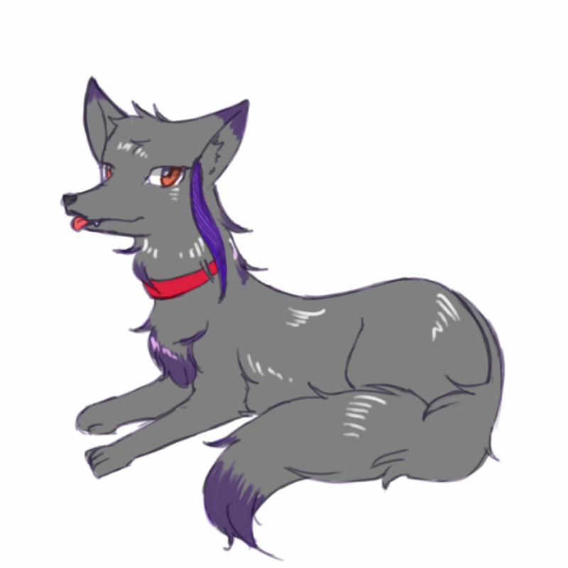 늑대변신 : 늑대변신 스케치판 ,sketchpan