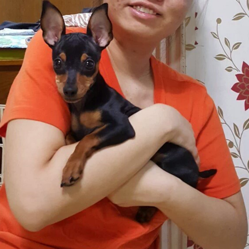 감자 3개월.. : 감자 3개월 ㅎ 스케치판 ,sketchpan