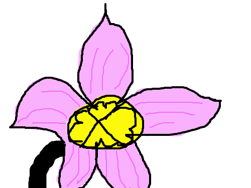 분홍색꽃 : 그냥꽃을그린것이다. 스케치판 ,sketchpan