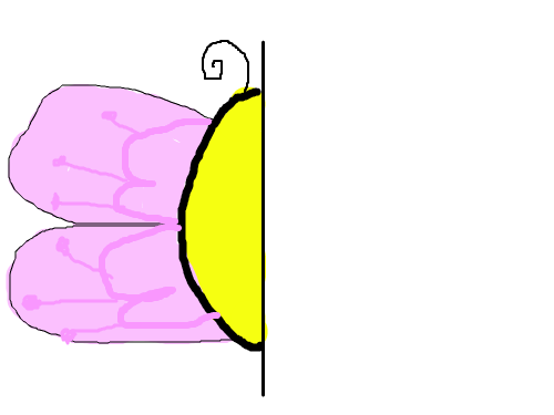 반쪽나비 : 몸이 반쪽밖에없다. 스케치판 ,sketchpan