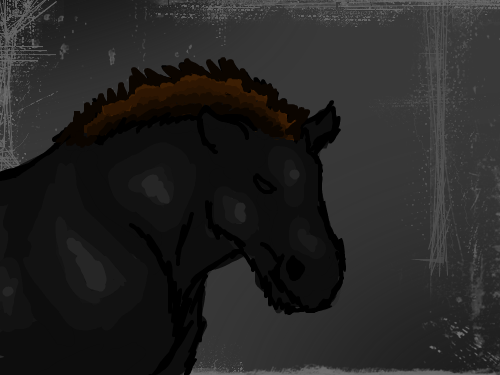 Horse : First drawing one Sketch Pan..I am not to happy with it : 스케치판 ,sketchpan
