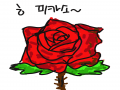 나닛! 이것.. : 나닛! 이것은??? 장미가 아니던가! 스케치판 ,sketchpan