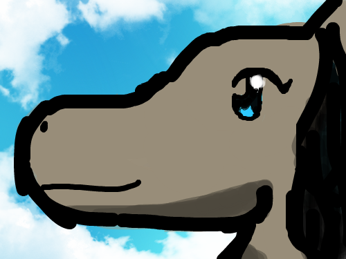 Horse : horse 스케치판 ,sketchpan