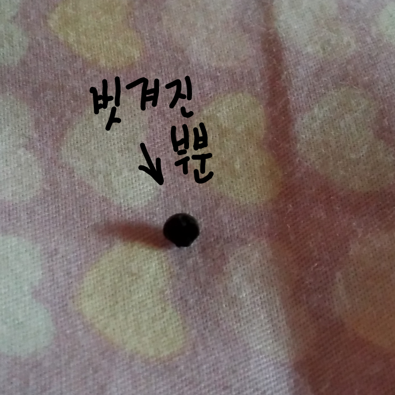   :   스케치판 ,sketchpan