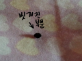  :   스케치판 ,sketchpan