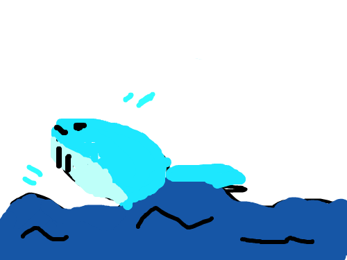 돌고래쇼 : 돌고래쇼~~ 스케치판 ,sketchpan