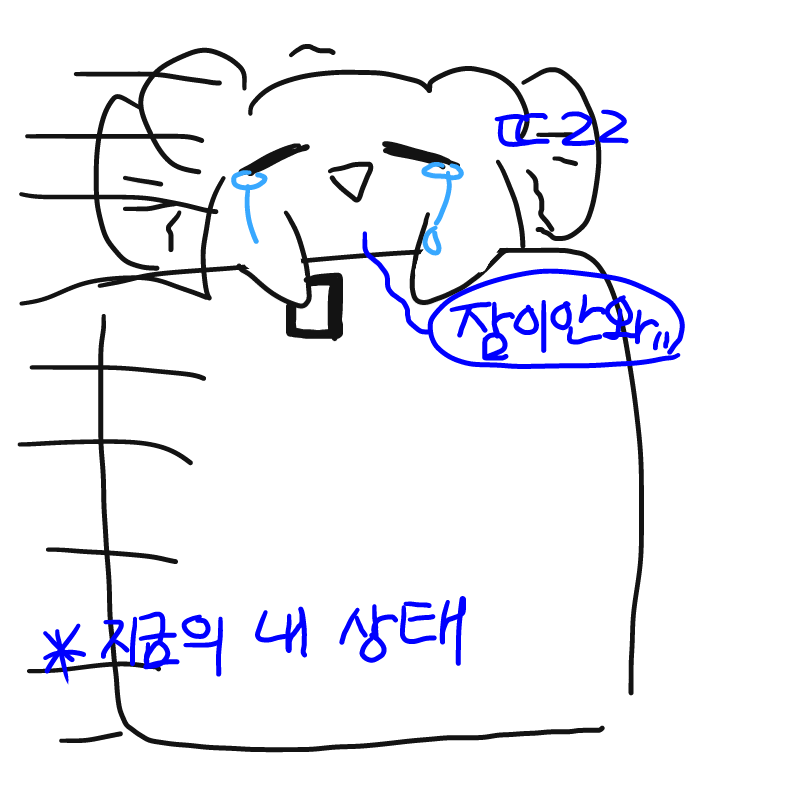 ㄸㄹㄹ.. : ㄸㄹㄹ.. 스케치판 ,sketchpan