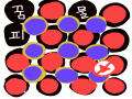 #OWO# : #OWO# 스케치판 ,sketchpan