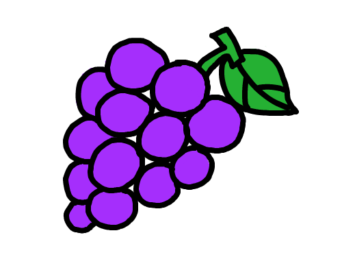 포도 : 　　　　 스케치판 ,sketchpan