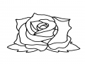   :   스케치판 ,sketchpan