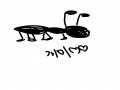 그냥 개미 : 그냥 개미 스케치판 ,sketchpan