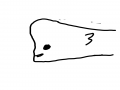 물고기 : 물고기 스케치판 ,sketchpan