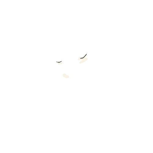 스요나 카게루 : 스요나 카게루 스케치판 ,sketchpan