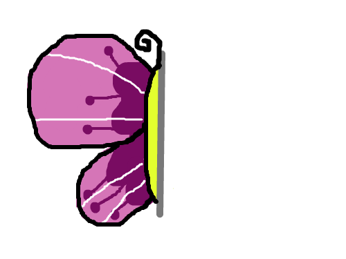 나비 반쪽 : 나비 몸통 반쪽 스케치판 ,sketchpan