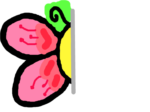 나비1 : ???? 스케치판 ,sketchpan