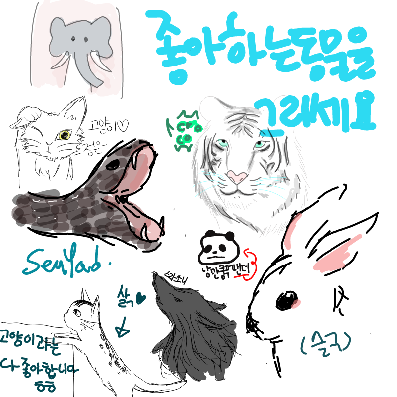 &nbsp; : &nbsp; 스케치판 ,sketchpan