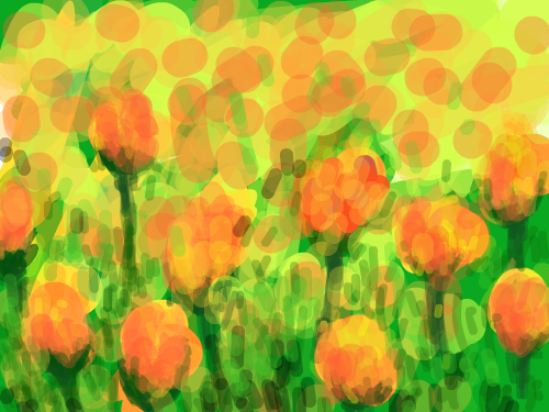 튤립 : 튤립이예요 스케치판 ,sketchpan