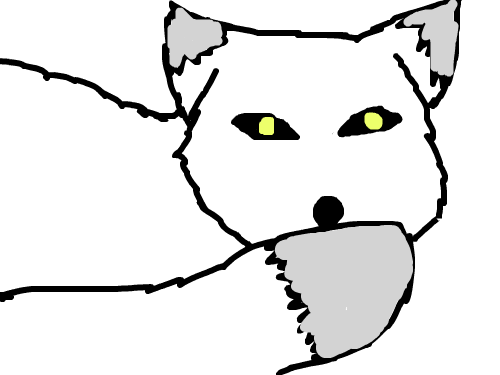 Arctic Fox : Another arctic fox I drew. I just love them. :) 스케치판 ,sketchpan
