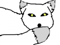 Arctic Fox : Another arctic fox I drew. I just love them. :) 스케치판 ,sketchpan