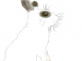   :   스케치판 ,sketchpan