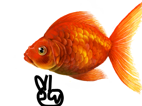 ㅋㅋ : ㅋㅋ 스케치판 ,sketchpan