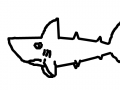 상어 : 상어상어` 스케치판 ,sketchpan