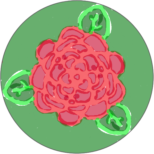 장미꽃 : 장미꽃 스케치판 ,sketchpan